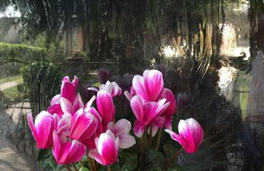 La Casina del Delta del Po - Foto 36