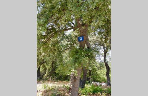 Studio Tudo Bem - Photo 9