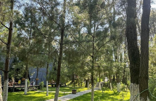 Seaside Chalet Guruli Kokhebi - Photo 26