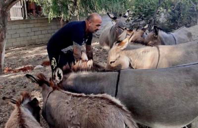 Agriturismo Santa Lucia - Foto 50