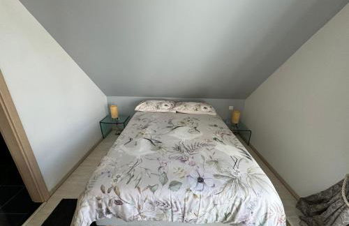 Le manoir Obernois - 5mn du centre - 10 pers. - Foto 11