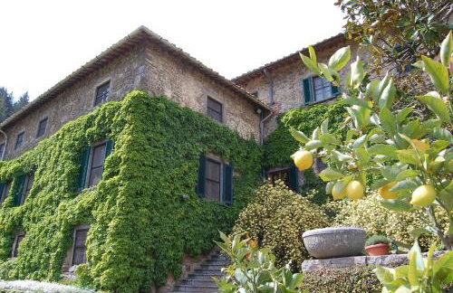 Badia a Coltibuono Wine Resort - Foto 21