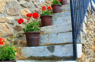 Cal Francès - Foto 27