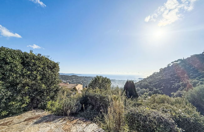 Domaine des Collieres - Foto 20