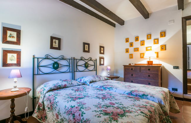 Bardeggiano - Caterina 3 (COL246) - Foto 29