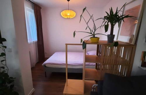 M37 x Fabryczna - Photo 5