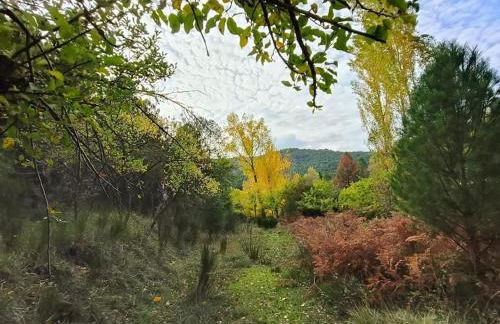 La Guijarroseña , Rio Madera - Foto 43