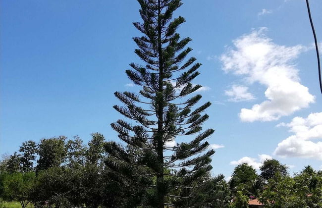 Villas Don Pablo - Foto 33