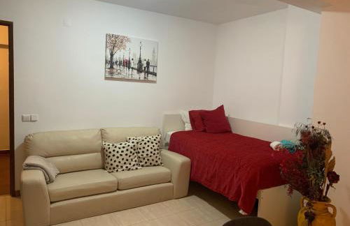 Charming T1 apartment in Seixal - Foto 18