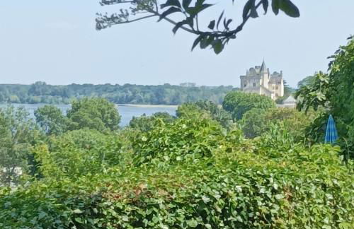 Gite des Perreyeurs - maison troglodyte avec vue sur Loire - Foto 18