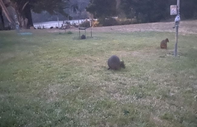 River Front Estate - Foto 19