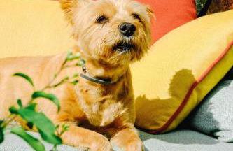 AGRITURISMO CA' FENILE - Foto 101