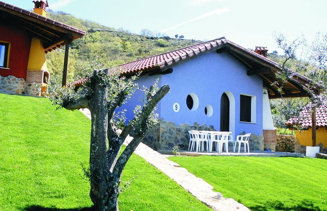 Estudios Manolo - Photo 38