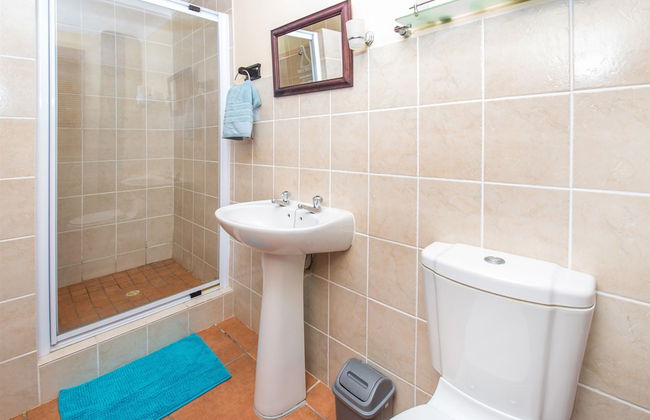 Experience Nature at Brenton on Sea With Breakers Dolphins and Whales - Foto 13