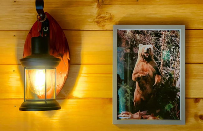 Beautiful 1-bed Cabin in Newmarket - Foto 13