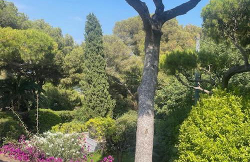 Villa de Charme au coeur du Cap-Ferrat - Photo 43