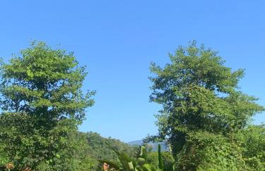 Refúgio da Nicinha a 7 min do Centro Histórico - Foto 24