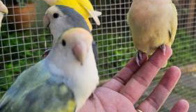 Casa espaçosa famíliar - Foto 5