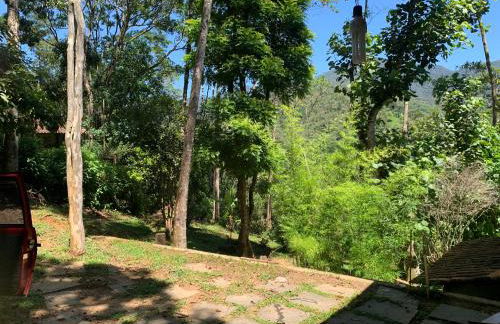 Casa Araucária 2 - Photo 25