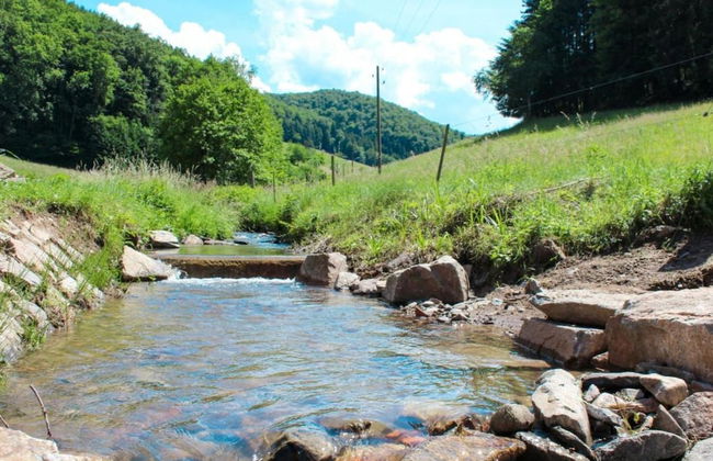 Hideaway Near Black Forest - Foto 36