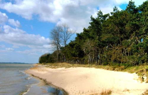 Holiday home in Rügen with 3 bedrooms - Foto 17