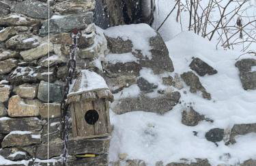 Agroturystyka Monte Luna - domki - Foto 8