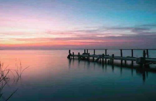 Ruzafa experience Oceanografic ciencias - Photo 11