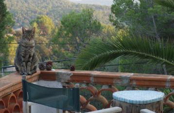 Mountain Finca with Pool - Foto 13