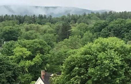 Berkshire Vacation Rentals: Centrally Located Historical Home - Foto 24