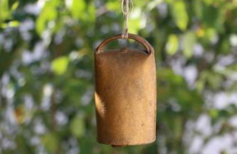 Casa Dos Livres - Foto 17