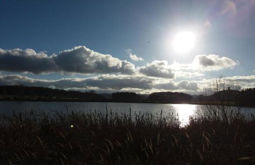 Ferienwohnung Reuter - Foto 15