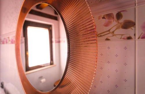 Garden Cactus - Foto 70