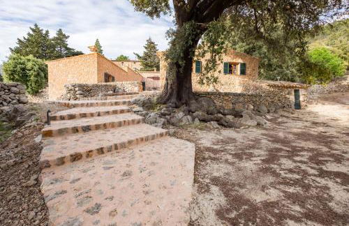 Agroturismo Son Alzines - Foto 138