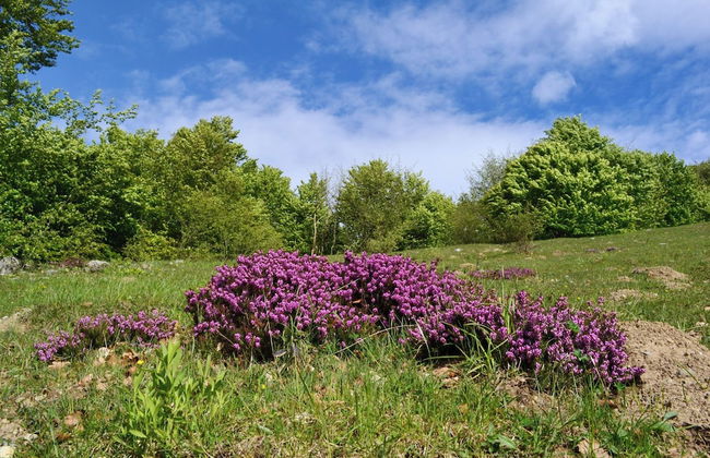 Casa Busso - Foto 58