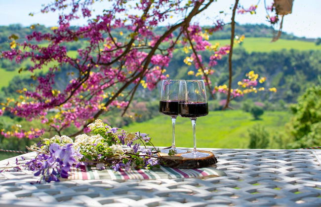 I Sicomori - Seme di Carota - Glamping e appartamenti con piscina a Saturnia - Foto 45