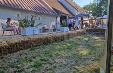 Domaine des Aulnaies - Beauval - Mareuil sur Cher - Foto 14