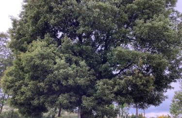 Casa De Ferias Santos - Foto 40