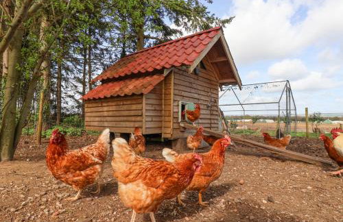 Molly's Cottage - Foto 35