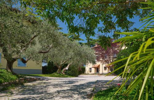 Cason degli ulivi-APT Mia - Photo 10