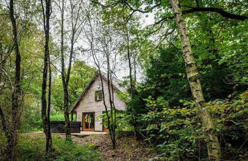 Denstone, woodland lodge with hot tub for 8 - Foto 33