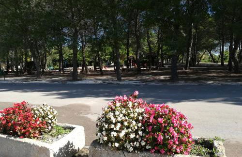 Agriturismo Torrevecchia - Foto 39