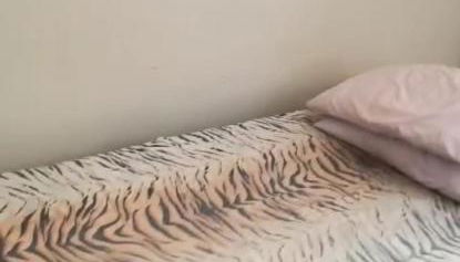 Petrolina Vila Verde Ap - Foto 4