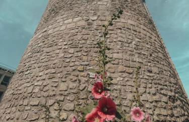 L’Eden Centre ville - Foto 14