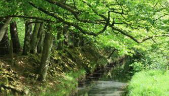 Secluded Hand Crafted Log Cabin - Foto 2