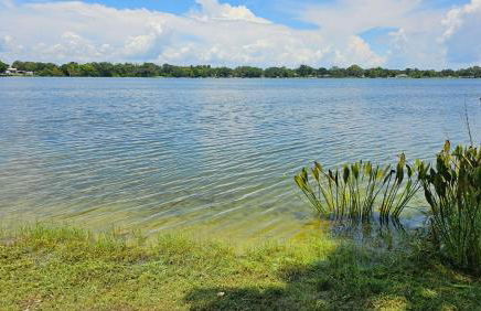 Lakeside Lofts at Lake Martha - Photo 25