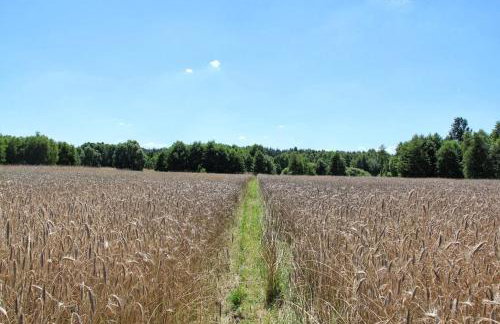 Domek Drewniany - Foto 49