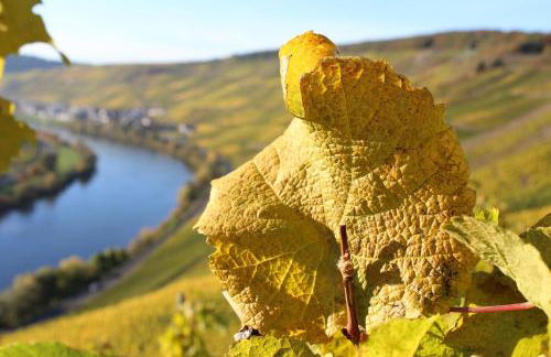 Ferienhaus Willwert - Photo 22