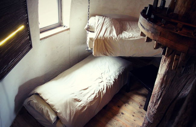 De Reus van Horebeke - Photo 3