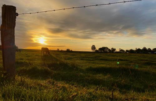 Ferienwohnungen Kapitänskajüte & Ausguck - Foto 34