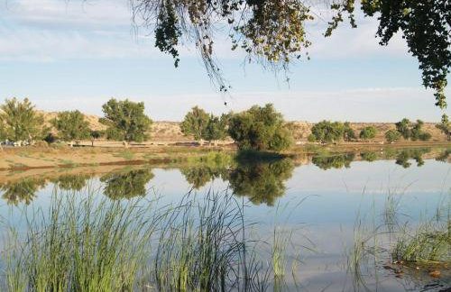 California 3-Bedroom Desert Escape With Garden - Foto 79